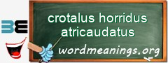 WordMeaning blackboard for crotalus horridus atricaudatus